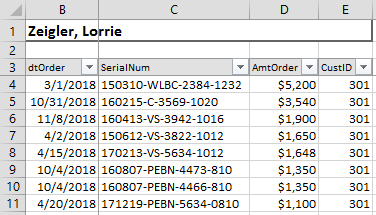 spreadsheet with formatted data that Access created